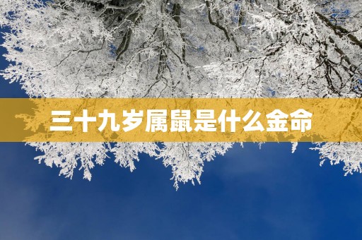 三十九岁属鼠是什么金命