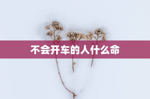 不会开车的人什么命