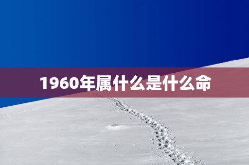 1960年属什么是什么命