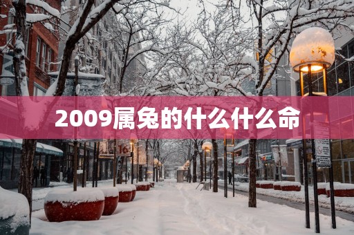 2009属兔的什么什么命