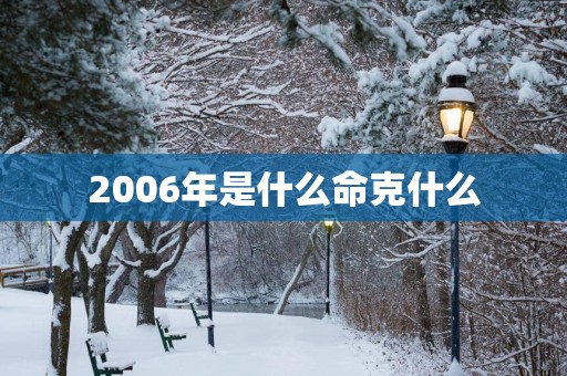 2006年是什么命克什么