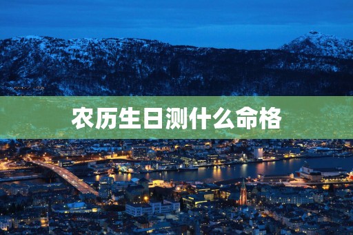 农历生日测什么命格
