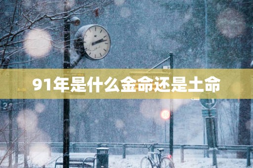 91年是什么金命还是土命