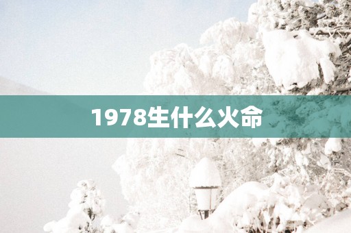 1978生什么火命