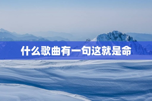 什么歌曲有一句这就是命
