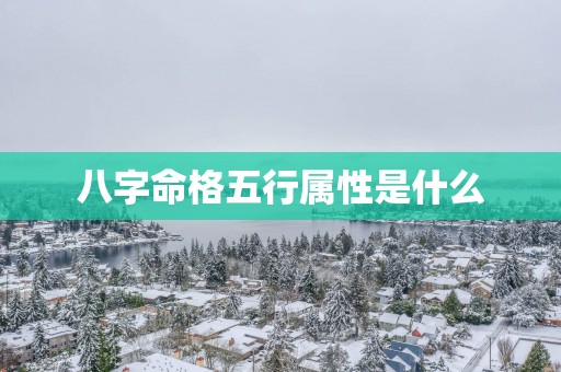 八字命格五行属性是什么