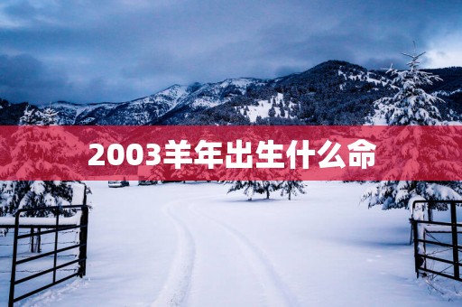 2003羊年出生什么命