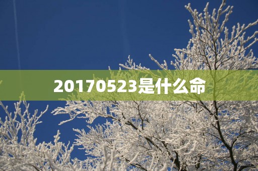 20170523是什么命