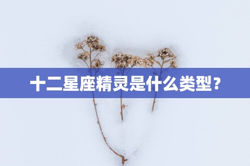 十二星座精灵是什么类型？