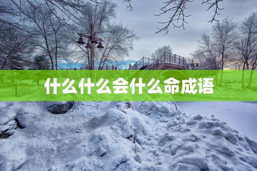 什么什么会什么命成语