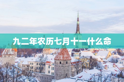 九二年农历七月十一什么命