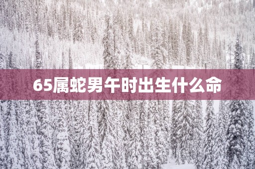 65属蛇男午时出生什么命
