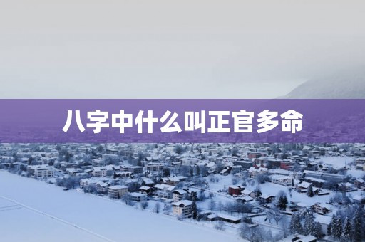 八字中什么叫正官多命