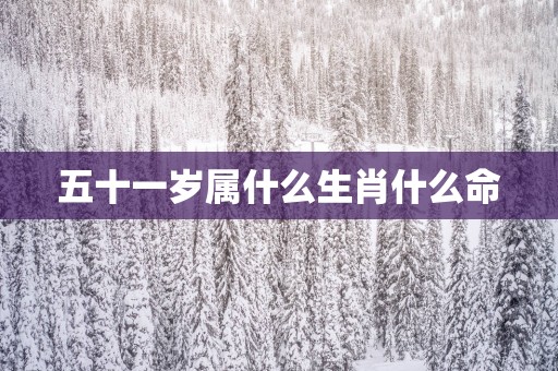 五十一岁属什么生肖什么命