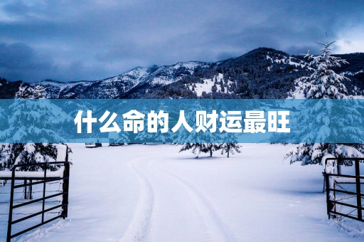 什么命的人财运最旺