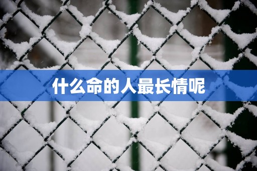 什么命的人最长情呢