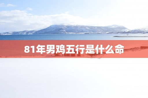 81年男鸡五行是什么命