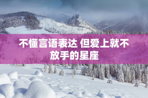 不懂言语表达 但爱上就不放手的星座