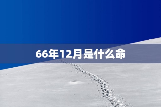 66年12月是什么命