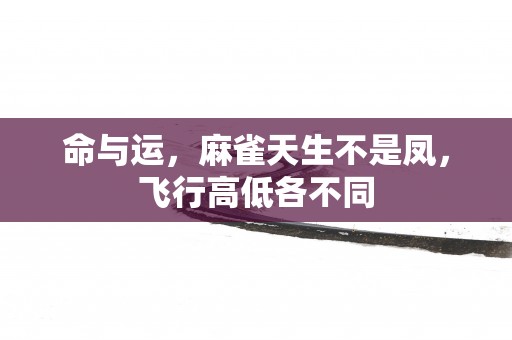 命与运，麻雀天生不是凤，飞行高低各不同