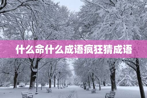 什么命什么成语疯狂猜成语