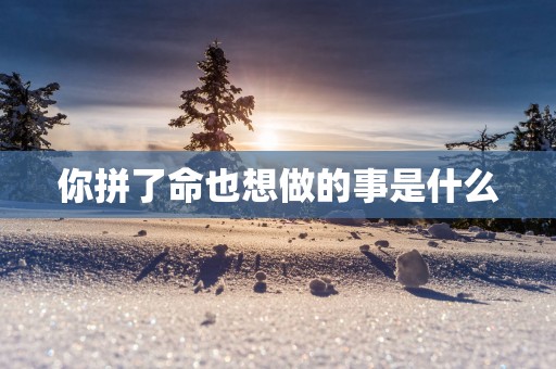 你拼了命也想做的事是什么