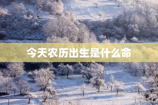 今天农历出生是什么命