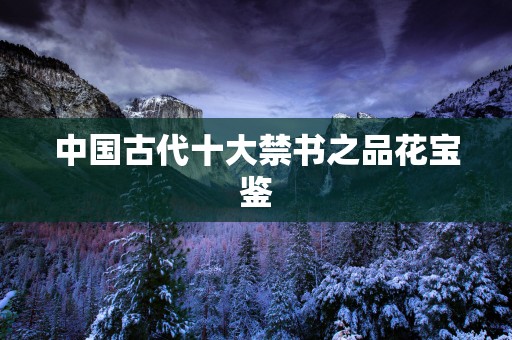中国古代十大禁书之品花宝鉴