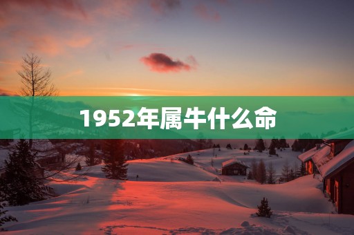 1952年属牛什么命