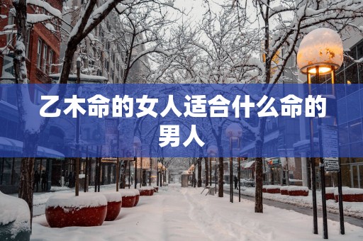 乙木命的女人适合什么命的男人