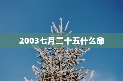 2003七月二十五什么命