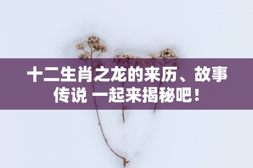 十二生肖之龙的来历、故事传说 一起来揭秘吧！