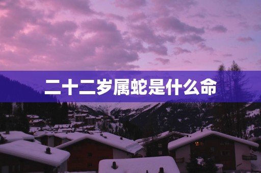 二十二岁属蛇是什么命