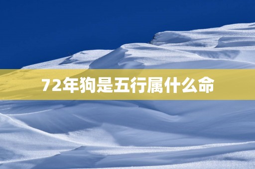 72年狗是五行属什么命