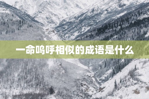 一命呜呼相似的成语是什么