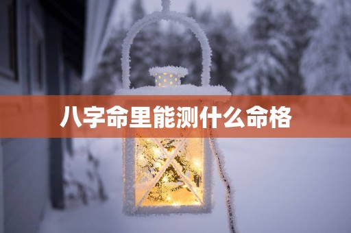 八字命里能测什么命格