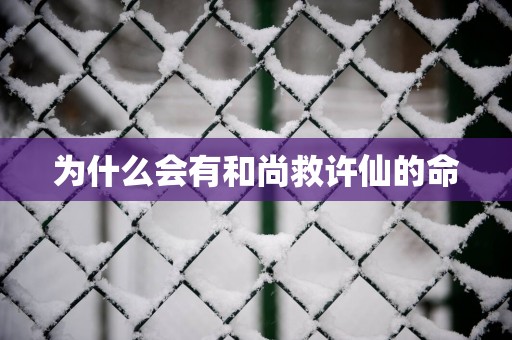 为什么会有和尚救许仙的命