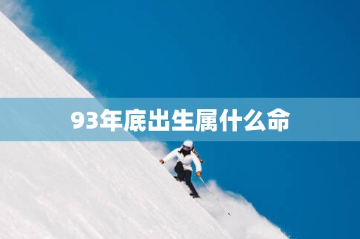 93年底出生属什么命