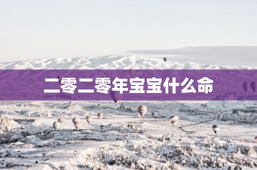 二零二零年宝宝什么命