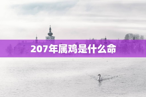 207年属鸡是什么命