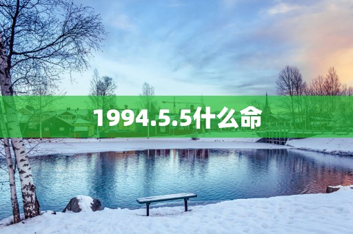 1994.5.5什么命