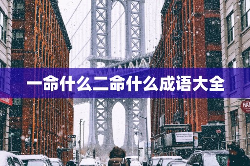 一命什么二命什么成语大全