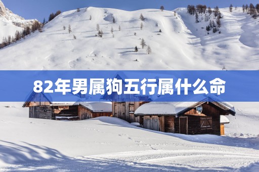 82年男属狗五行属什么命