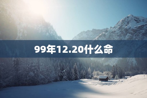99年12.20什么命