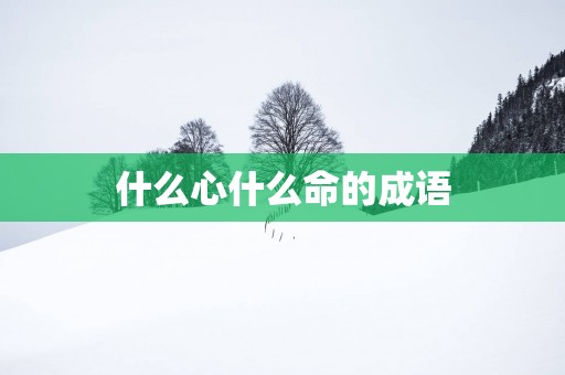 什么心什么命的成语