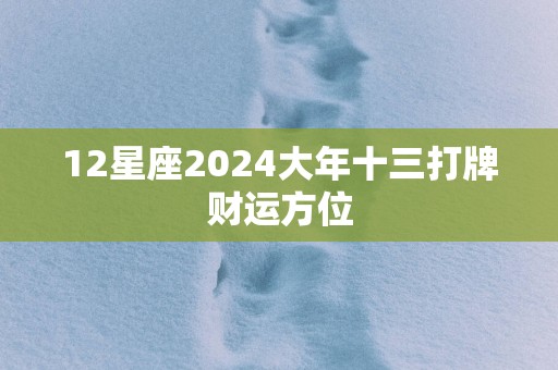 12星座2025大年十三打牌财运方位