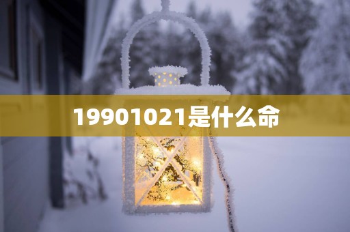19901021是什么命