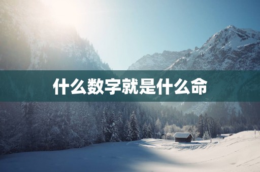 什么数字就是什么命