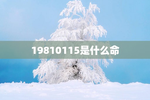 19810115是什么命
