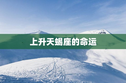 上升天蝎座的命运